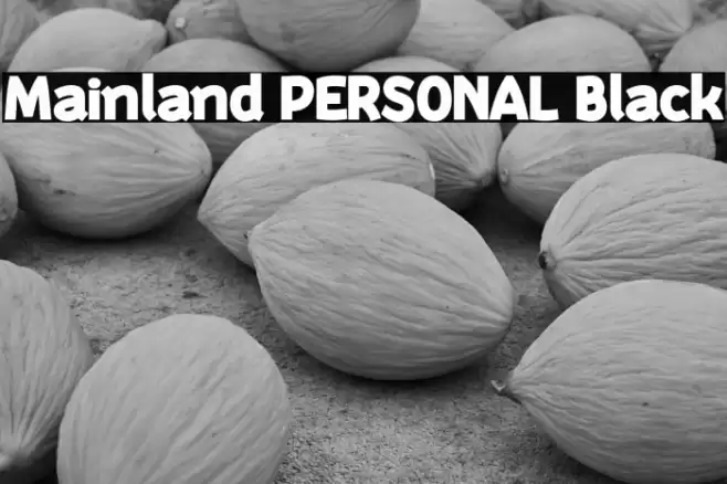 Mainland PERSONAL Black Font examples