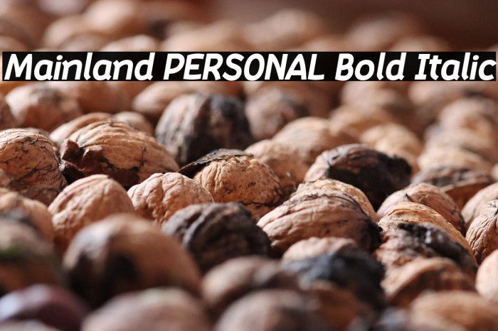 Mainland PERSONAL Bold Italic Example 2