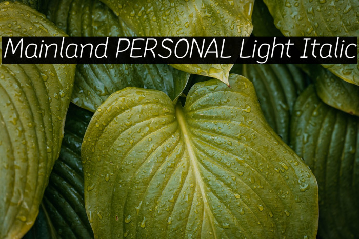 Mainland PERSONAL Light Italic Example 2