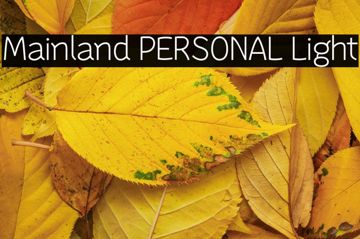 Mainland PERSONAL Light Example 1