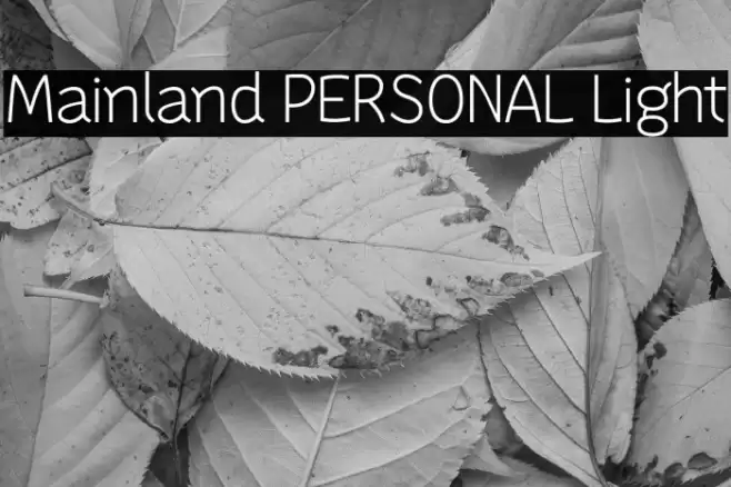 Mainland PERSONAL Light Font examples