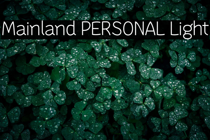 Mainland PERSONAL Light Example 2