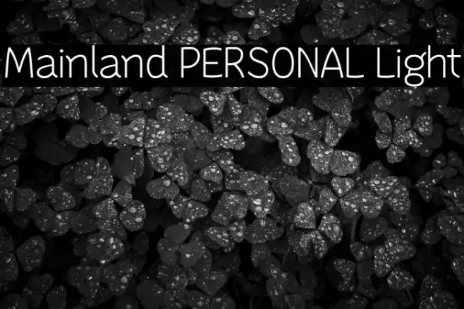Mainland PERSONAL Light Font examples