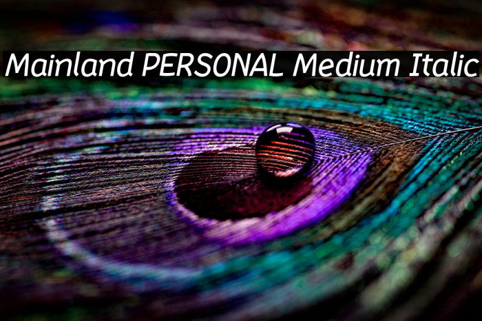 Mainland PERSONAL Medium Italic Example 1