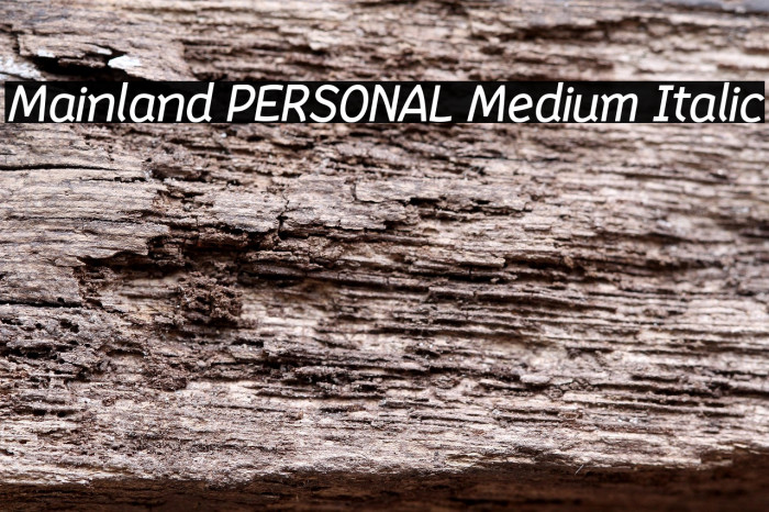 Mainland PERSONAL Medium Italic Example 3