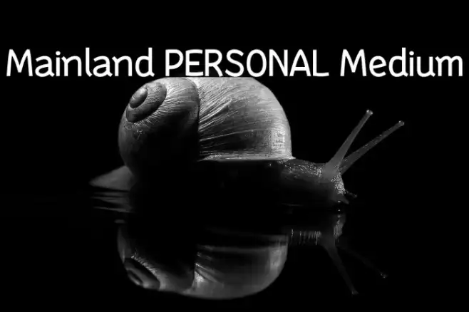 Mainland PERSONAL Medium Example 1
