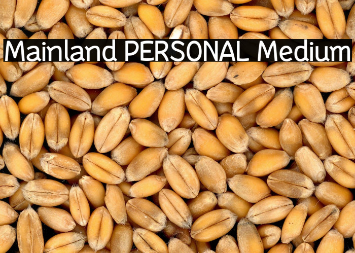 Mainland PERSONAL Medium Example 3