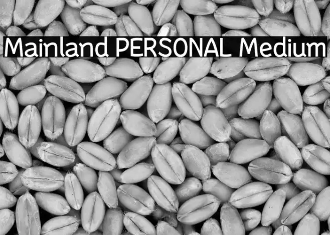 Mainland PERSONAL Medium Example 3