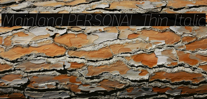 Mainland PERSONAL Thin Italic Example 2
