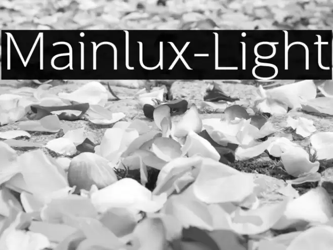 Mainlux-Light Font examples