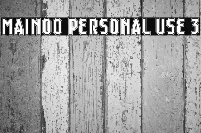 Mainoo Personal Use 3 Example 2