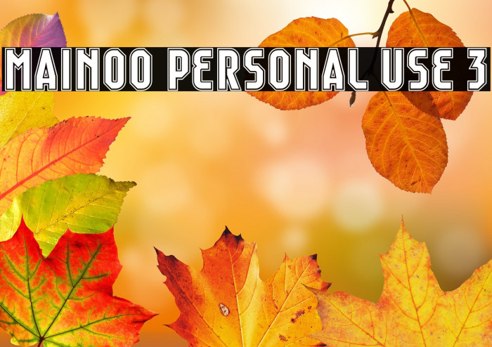 Mainoo Personal Use 3 Example 3