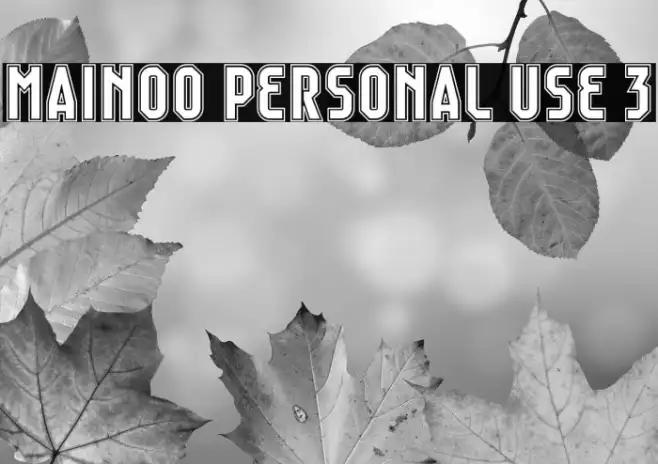 Mainoo Personal Use 3 Example 3