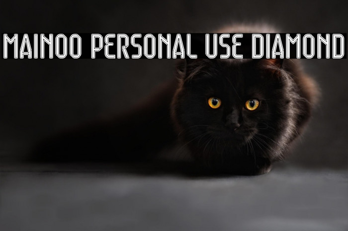 Mainoo Personal Use Diamond Example 2