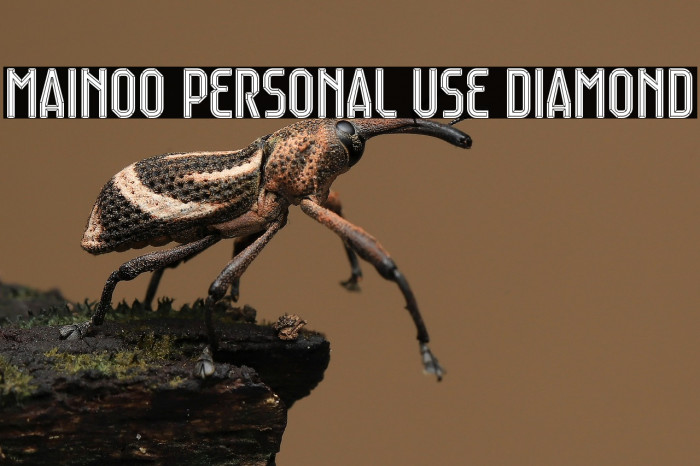 Mainoo Personal Use Diamond Example 3