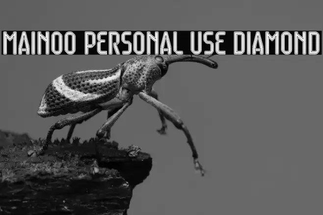 Mainoo Personal Use Diamond Example 3