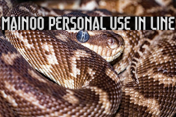 Mainoo Personal Use In Line Example 1