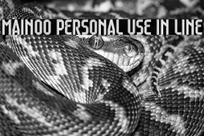 Mainoo Personal Use In Line Example 1