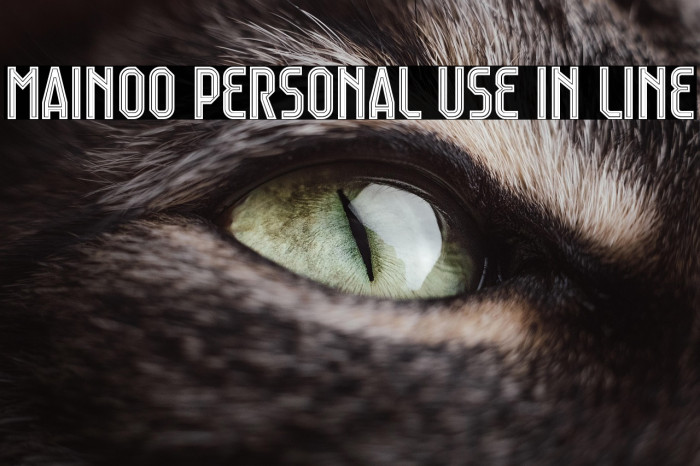 Mainoo Personal Use In Line Example 2