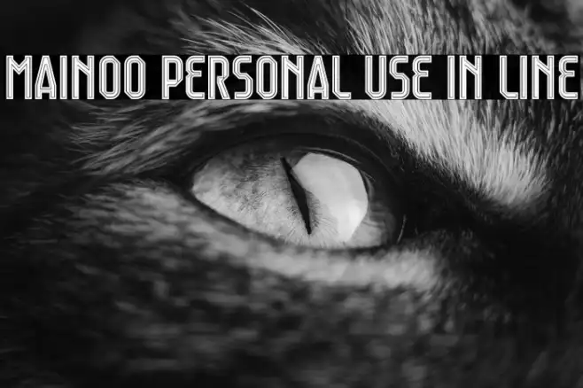 Mainoo Personal Use In Line Example 2