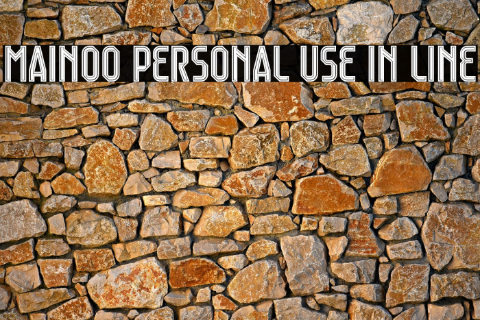 Mainoo Personal Use In Line Example 3