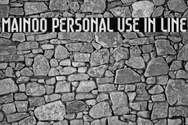 Mainoo Personal Use In Line Example 3