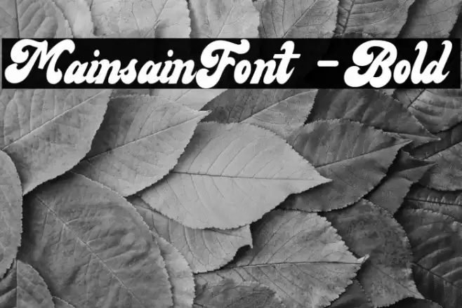 MainsainFont-Bold Font examples