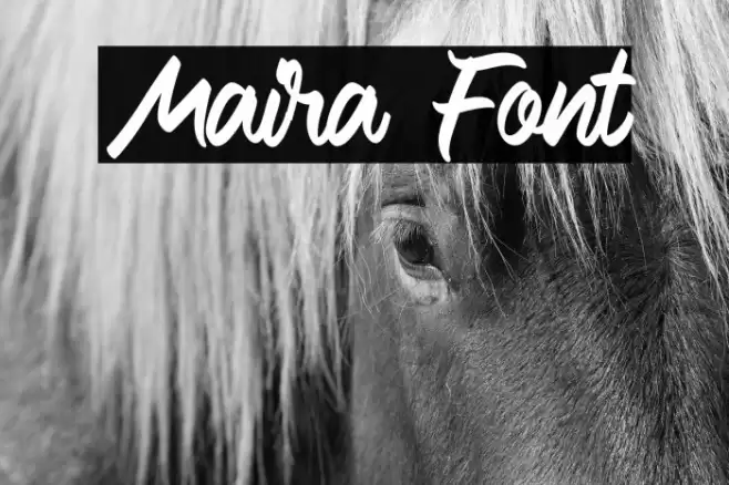 Maira Font examples
