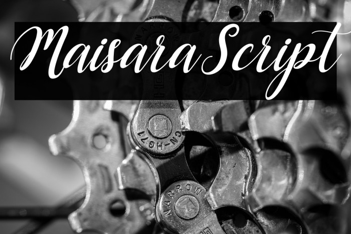 MaisaraScript Example 1