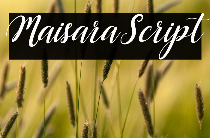 MaisaraScript Example 3