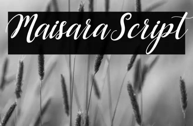 MaisaraScript Example 3