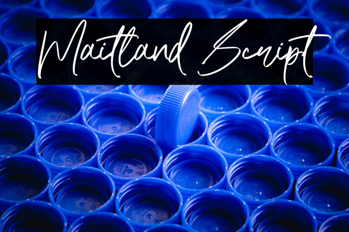 Maitland Script Example 1