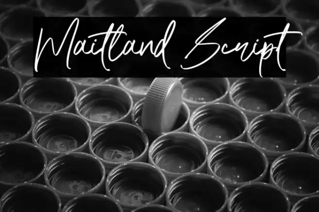 Maitland Script Example 1