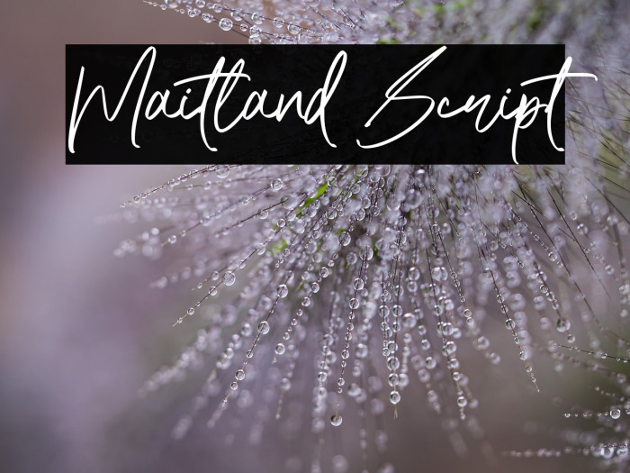 Maitland Script Example 3