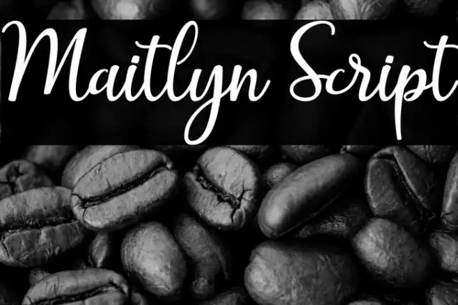 Maitlyn Script Font examples