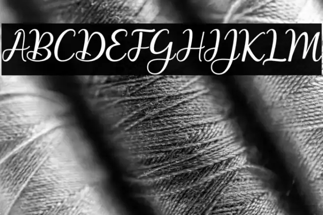 MaitlynScript Example 1