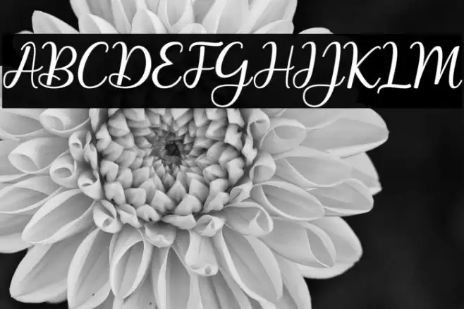 MaitlynScript Example 2
