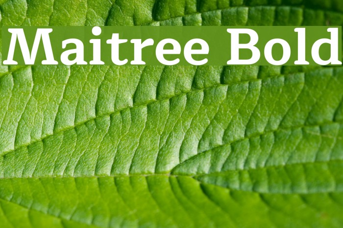 Maitree Bold Font examples