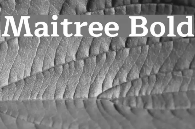 Maitree Bold Example 2
