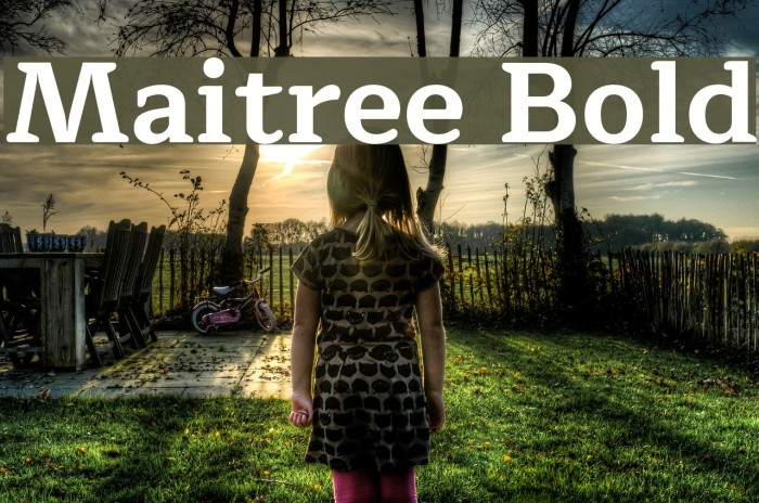 Maitree Bold Font examples