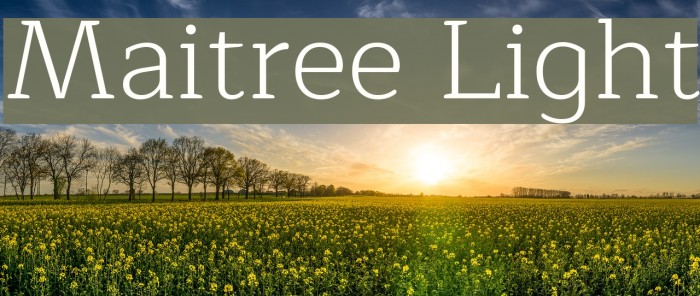 Maitree Light Font examples