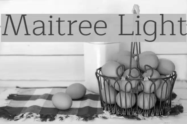 Maitree Light Font examples