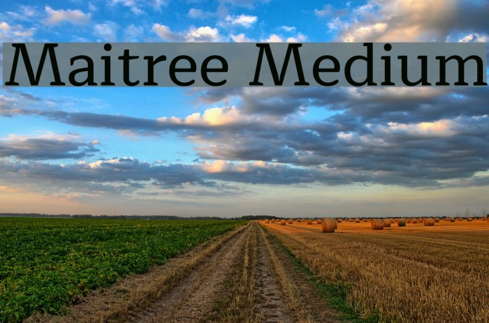 Maitree Medium Font examples