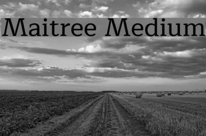 Maitree Medium Example 1
