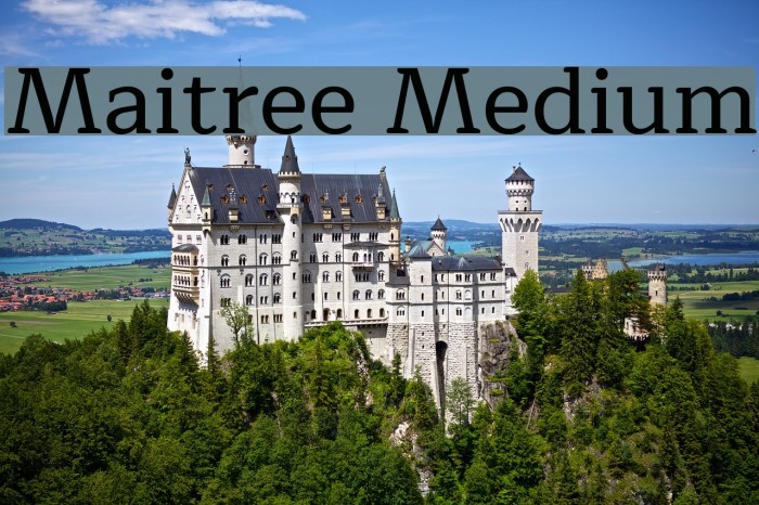 Maitree Medium Font examples