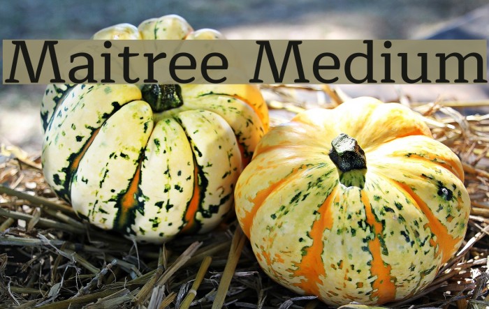 Maitree Medium Font examples