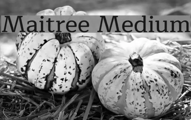 Maitree Medium Example 3