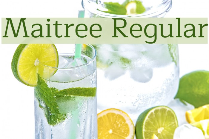 Maitree Regular Font examples