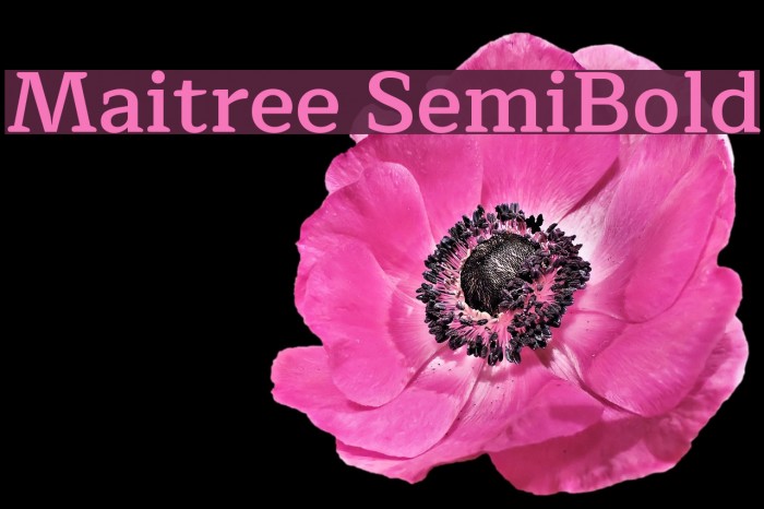 Maitree SemiBold Font examples