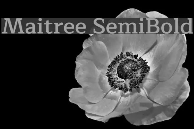 Maitree SemiBold Example 1